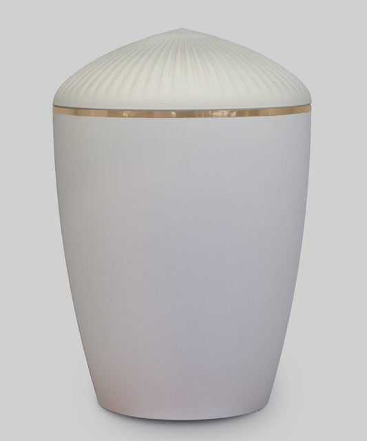 U - 160 - Matt White