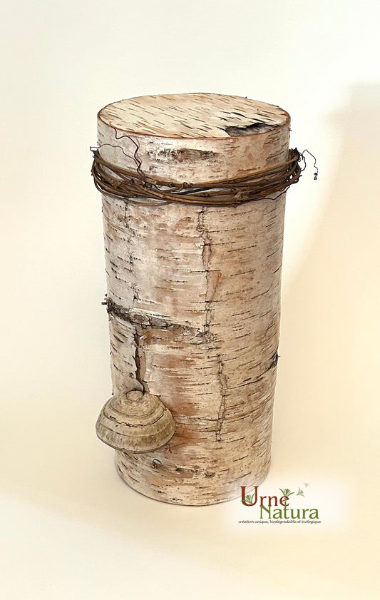 Urne Natura - 883